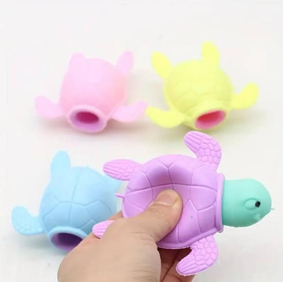 Decompression Tortoise Toy