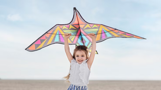Flying Toys That Actually Fly – No Gimmicks, Just Fun!