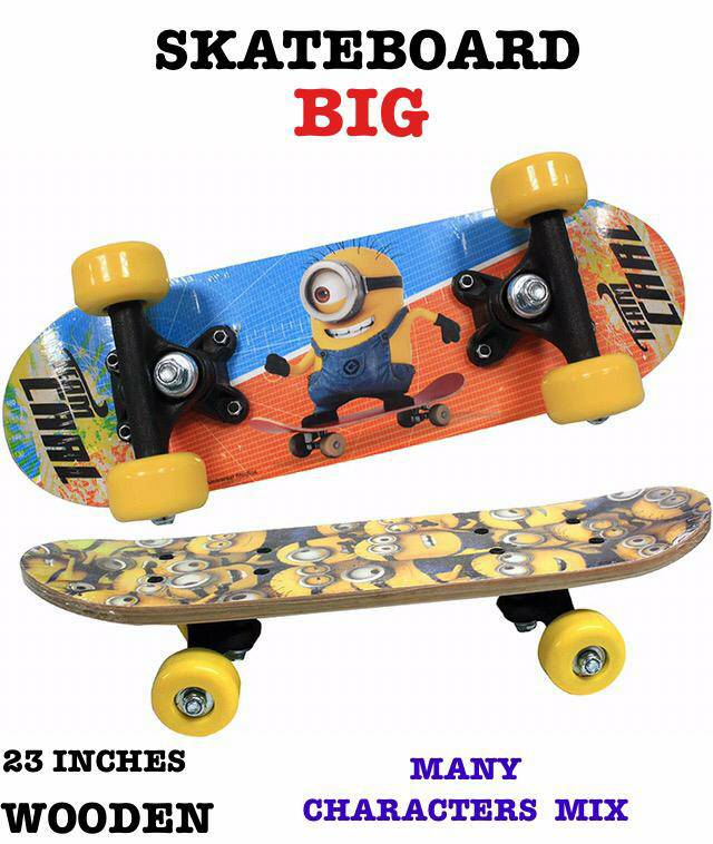 BIG SKATING BOARD