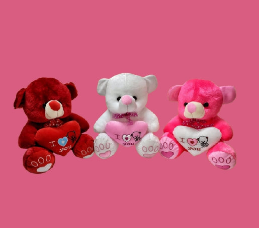 Fancy Embroidered Love Teddy