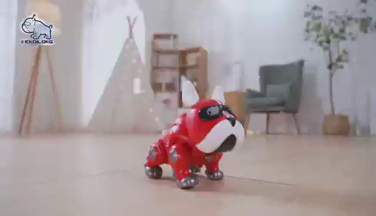 ROBOT DOG