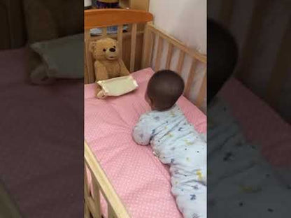 Peek-A-Boo Teddy Bear